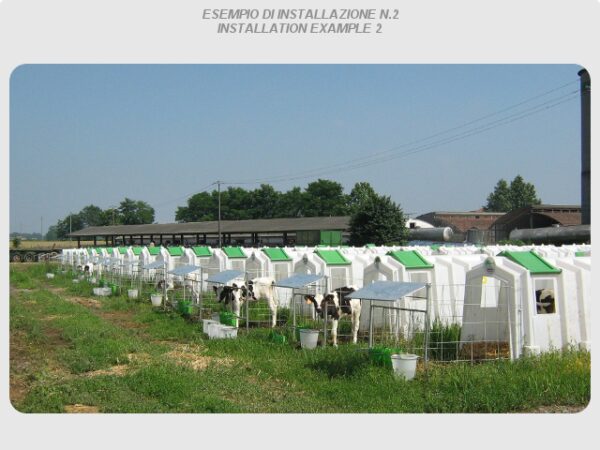 DOMUS VITULI - immagine 4