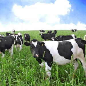 -- Acc. Enologia e Agricoltura