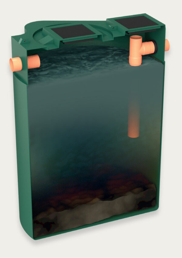 SUPERSTARS SEPTIC - immagine 2